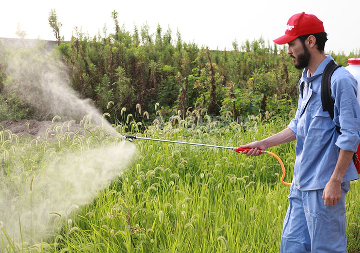 產品展示（三）