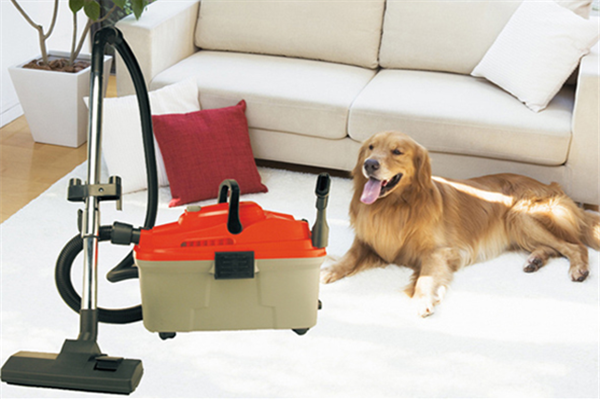 吸塵桶產品展示圖