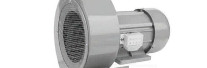 細(xì)節(jié)圖二